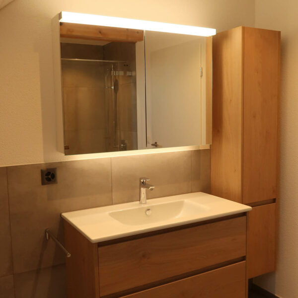 Erweiterung Brittnau4