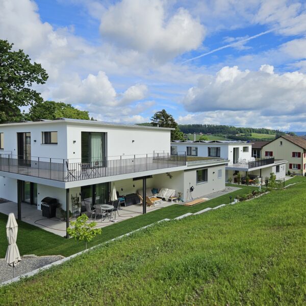 2 EFH Safenwil, Ansicht Süd