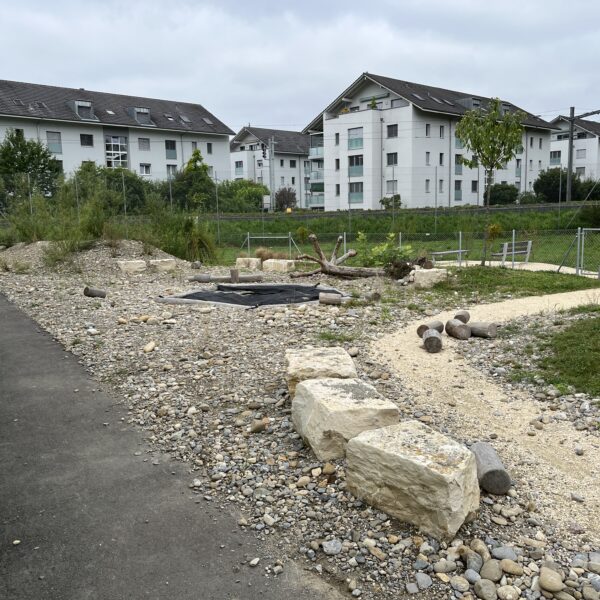 Spielplatz mit Burgruine